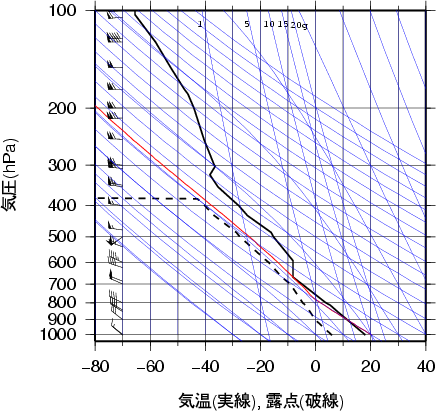 エマグラム画像