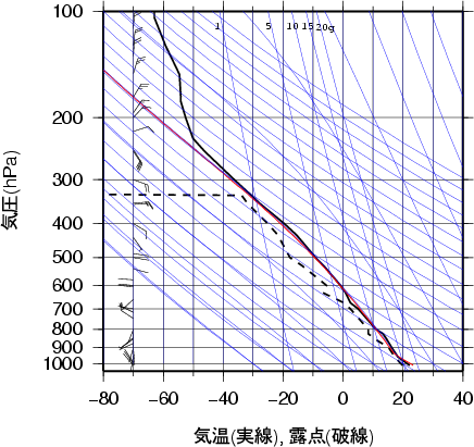 エマグラム画像