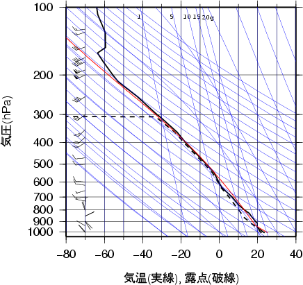 エマグラム画像