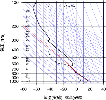 エマグラム画像