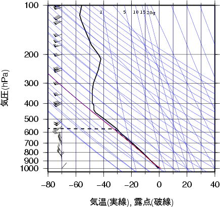 エマグラム画像