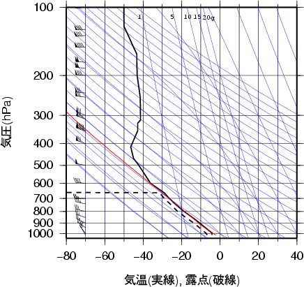 エマグラム画像