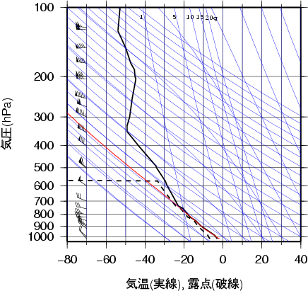 エマグラム画像