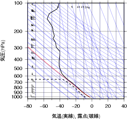 エマグラム画像