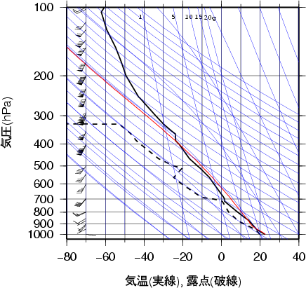 エマグラム画像