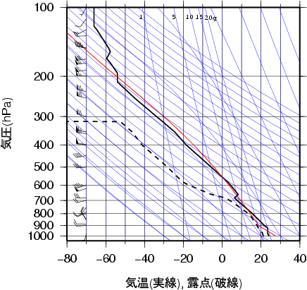 エマグラム画像