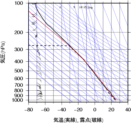エマグラム画像