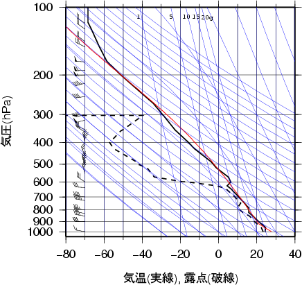 エマグラム画像