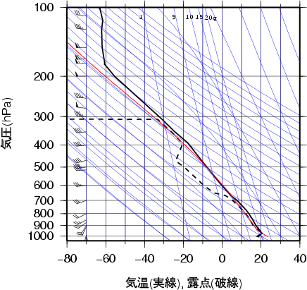 エマグラム画像