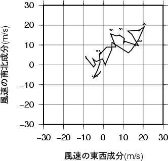 ホドグラフ画像