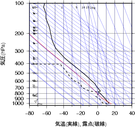 エマグラム画像