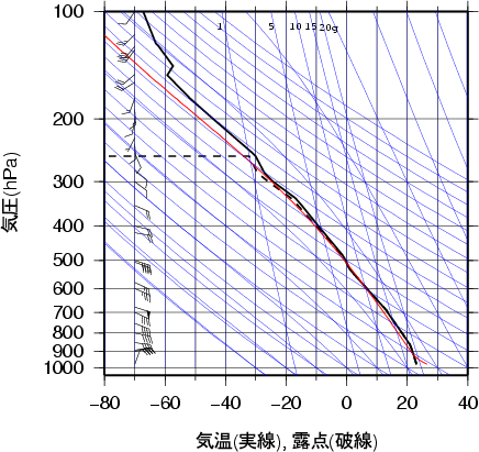 エマグラム画像