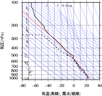 エマグラム画像