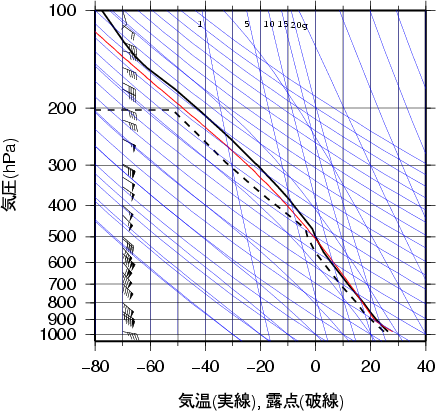 エマグラム画像