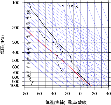 エマグラム画像