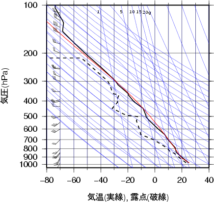 エマグラム画像