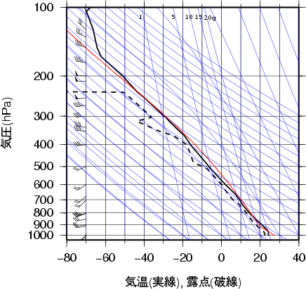 エマグラム画像