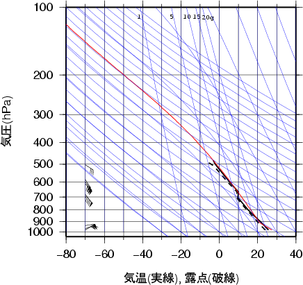 エマグラム画像