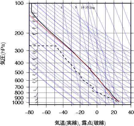 エマグラム画像