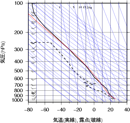 エマグラム画像