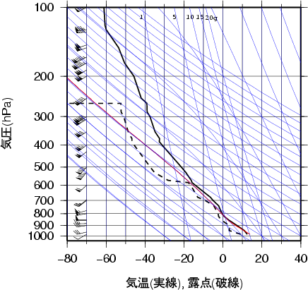 エマグラム画像