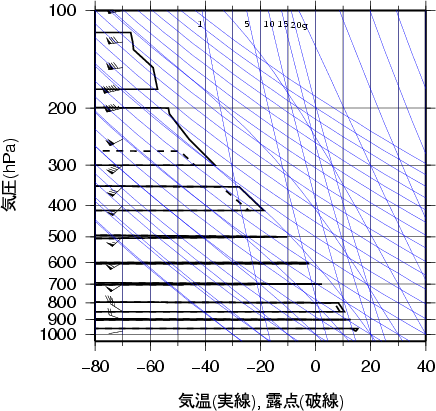 エマグラム画像