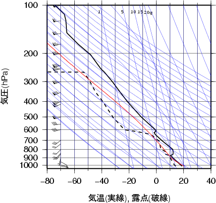 エマグラム画像