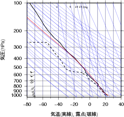 エマグラム画像