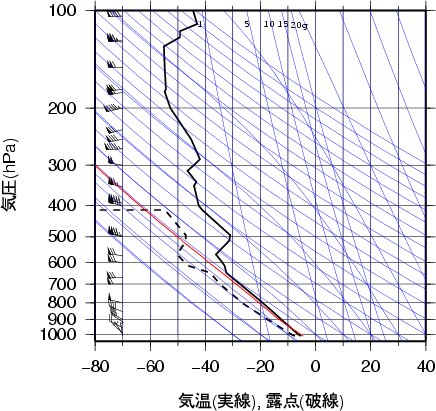 エマグラム画像