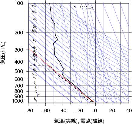 エマグラム画像