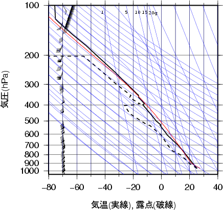 エマグラム画像