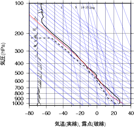 エマグラム画像