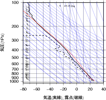 エマグラム画像