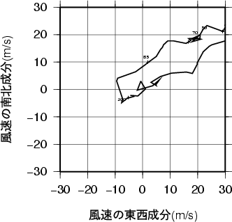 ホドグラフ画像