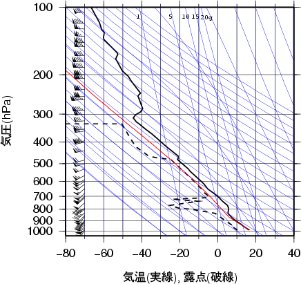 エマグラム画像