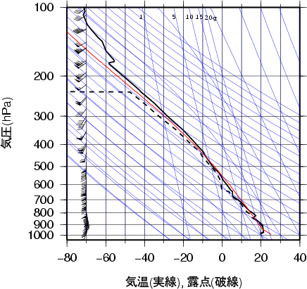 エマグラム画像