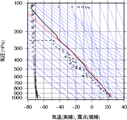 エマグラム画像