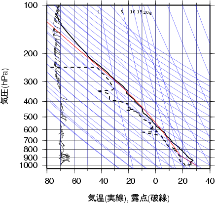 エマグラム画像