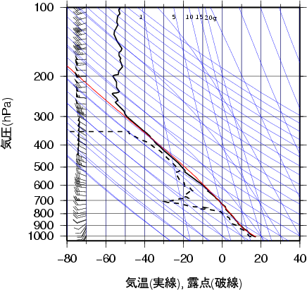 エマグラム画像