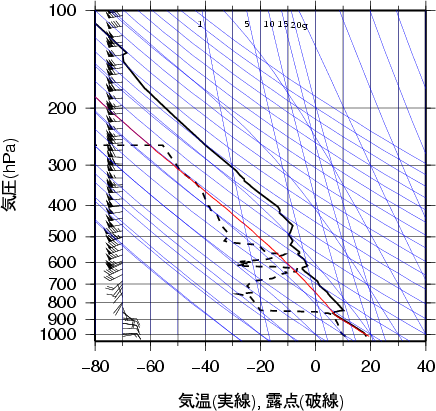 エマグラム画像