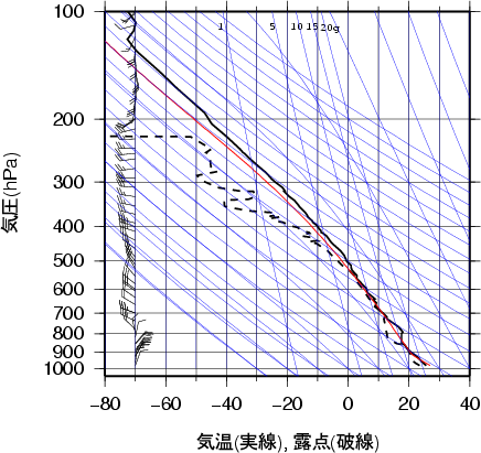 エマグラム画像