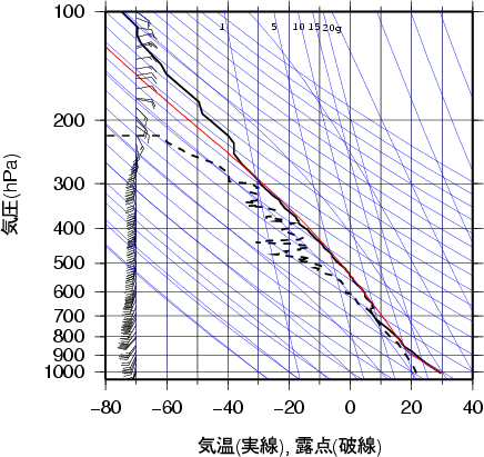 エマグラム画像