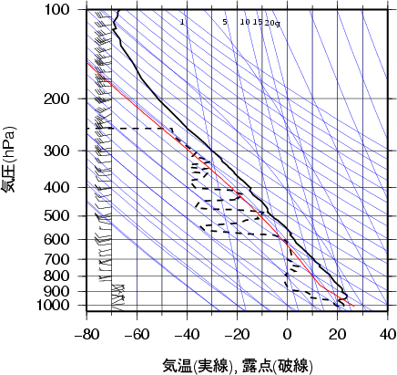 エマグラム画像