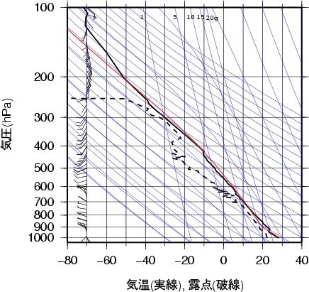 エマグラム画像