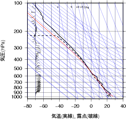 エマグラム画像