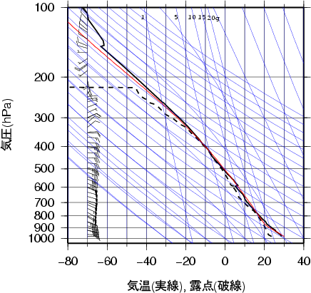 エマグラム画像