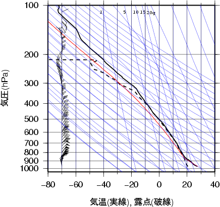 エマグラム画像