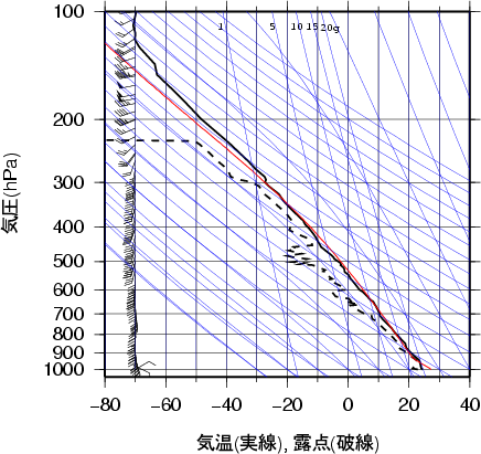 エマグラム画像