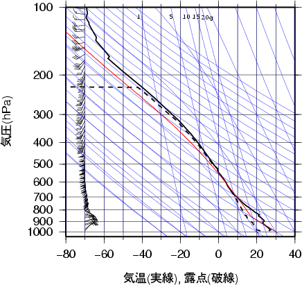 エマグラム画像