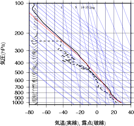 エマグラム画像